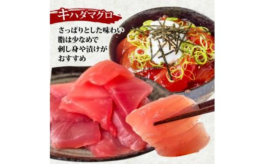 【 訳あり 】 キハダマグロ 切り落とし 1kg（ 100g 10パック ） キハダ マグロ サイズ 不揃い TY063