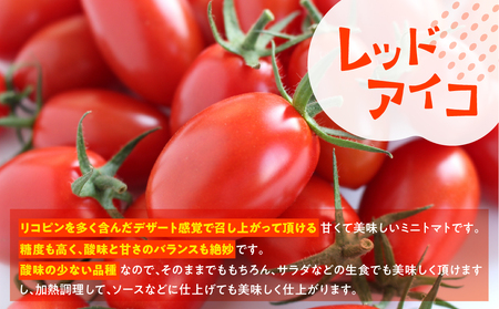 予約受付≪期間限定≫（2025年7月中旬頃から順次発送） 産地直送！飛騨下呂のレッドアイコ 1kg ミニトマト とまと トマト アイコ 新鮮 国産 【27-3】