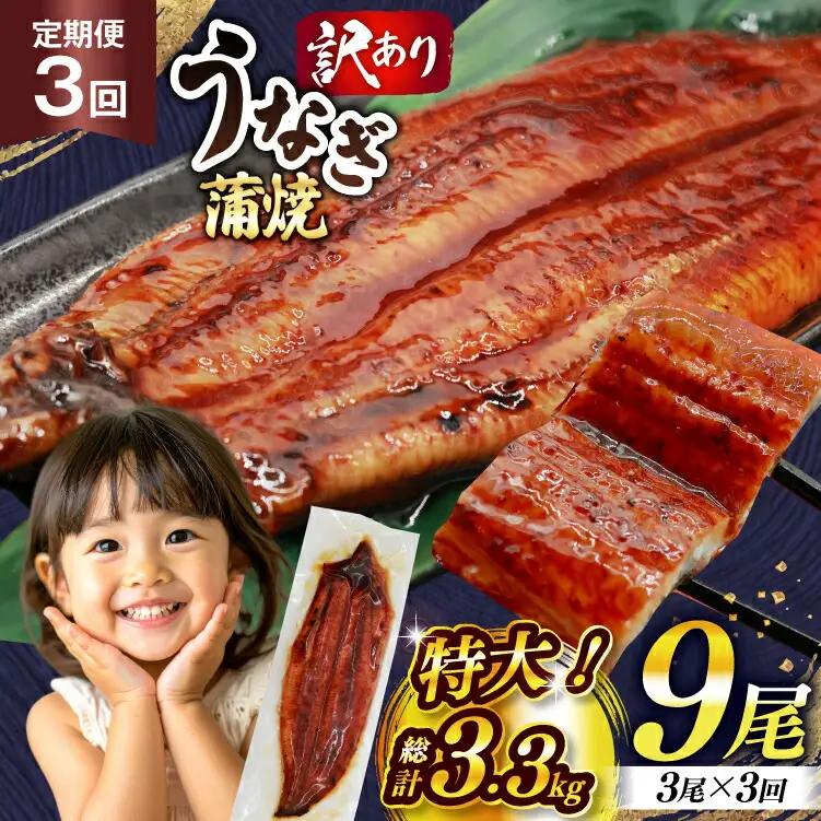 【定期便3回】うなぎ 蒲焼 特大  訳あり 3尾 うなぎ