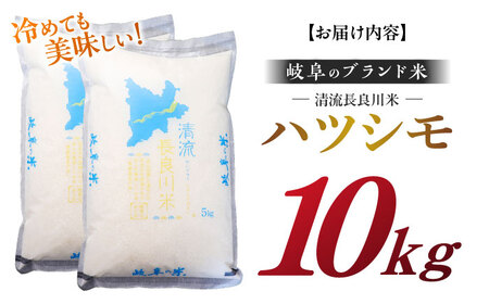 米 ハツシモ10kg[ANCU003]