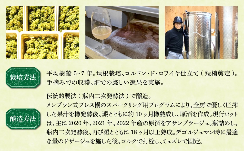 ※画像とはヴィンテージが異なる場合がございます