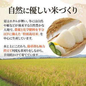 令和8年産 先行予約 新潟 米 定期便 みずほの輝き 新米 【6ヶ月連続お届け】5kg×6回 30kg 30キロ 6か月 上越市 新潟県 おすすめ 限定