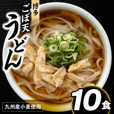 ふるさと納税 新宮町 博多ごぼ天うどん10食.ZG237