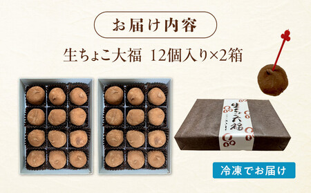 生ちょこ大福 12個入×2箱【ささもり 菓子 おかし 食品  贈り物 宮城県 人気 おすすめ 送料無料】