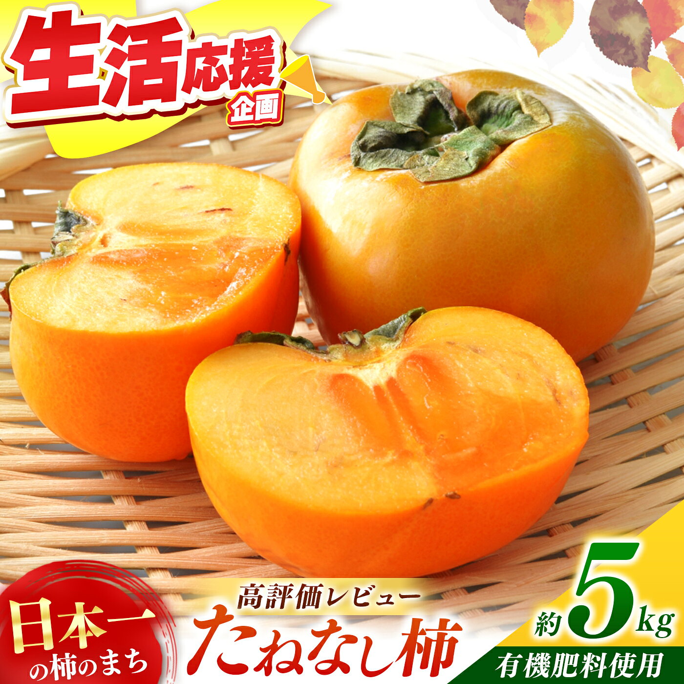 【ふるさと納税】 柿 たねなし柿 約 5 kg | フルーツ 果物 くだもの 柿 かき カキ 種なし 特産品 甘い 秋 旬 奈良県 五條市