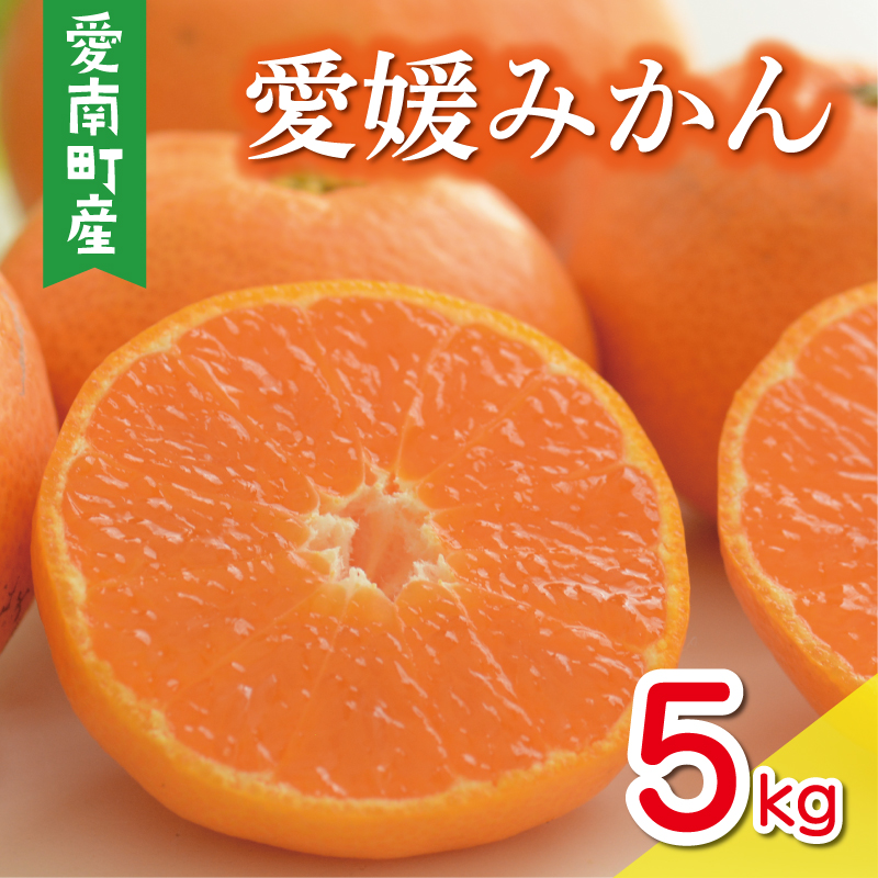 数量限定 先行予約 愛媛みかん 5kg 10000円 温州みかん こたつ みかん mikan 蜜柑 ミカン 国産 期間限定 特産品 ギフト プレゼント お歳暮 産地直送 農家直送 人気 限定 甘い フルーツ 果物 柑橘 おいしい 小玉 含む おいしい 岡平農園 愛南町 愛媛県