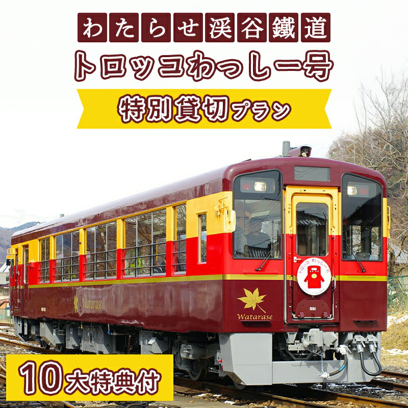【ふるさと納税】【a223】わたらせ渓谷鐵道　トロッコわっしー号　特別貸切プラン
