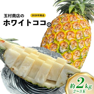 【ふるさと納税】玉村商店のホワイトココ　2～3玉（約2kg） 2026年発送 沖縄県産 東村 パイナップル ジューシー 希少 高級フルーツ 南国フルーツ 国産フルーツ 農家直送 パイン 果物 贈り物 おすすめ お土産 人気 やんばる 大自然 南国気分 沖縄本島北部