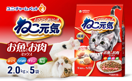 ねこ元気お魚とお肉ミックス まぐろ・白身魚・チキン入り ねこ元気【2.0kg×5袋】