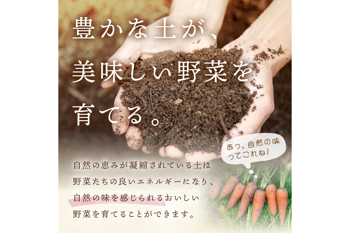 ＜てんとうむしばたけ＞オーガニック野菜&調味料セット　有機野菜11～12種(4人用)＆調味料2種 BR00049