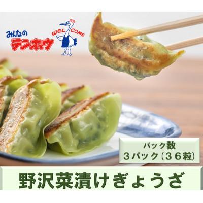 ふるさと納税 諏訪市 野沢菜漬けぎょうざ12粒入り3パック[冷凍]