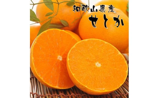 和歌山有田の濃厚せとか（ご家庭用） 約4～5kg ［先行予約］ | くだもの フルーツ 果実 果物 有田 みかん 和歌山　［MS81］