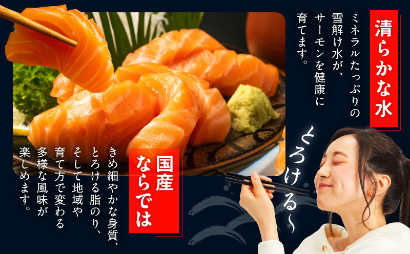 国産アトランティックサーモン 500g ポーション【小分け 真空パック 訳あり サイズ不揃い 刺身 海鮮丼 さーもん 鮭 さけ シャケ しゃけ 冷凍】 nbj0010