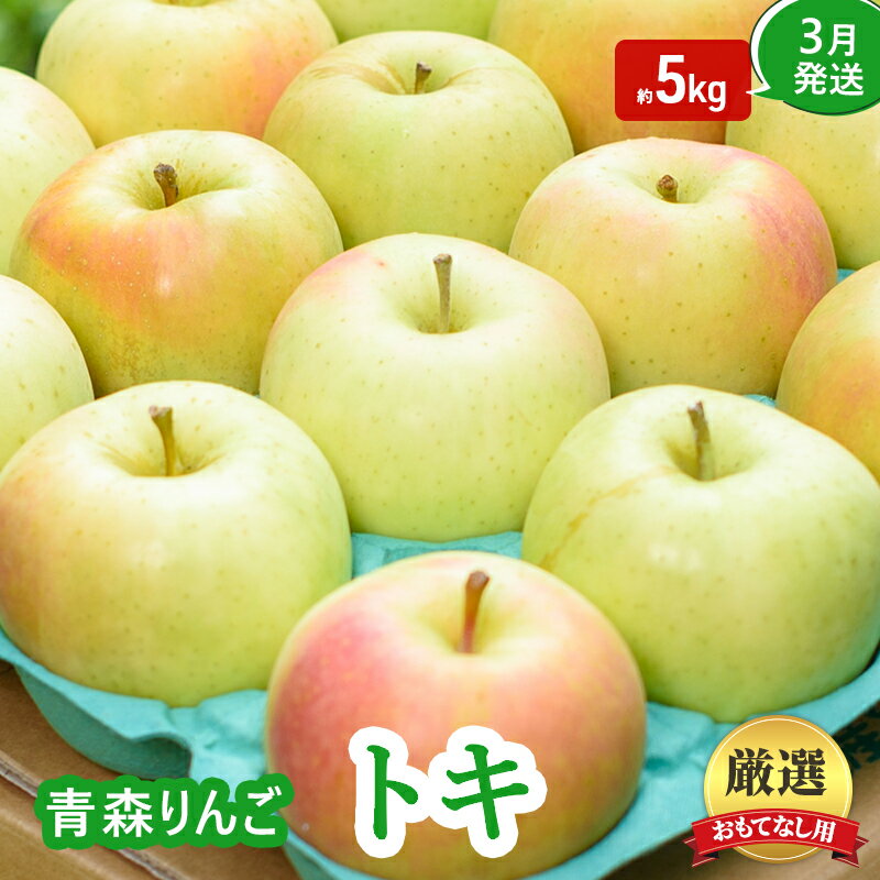 【ふるさと納税】【3月発送】おもてなし用 家庭用 葉とらず トキ 約5kg【青森りんご】果物 フルーツ デザート 食後 青森県産 産地直送　お届け：2026年3月20日頃～2026年3月31日