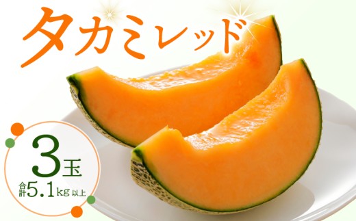 メロン 3玉入 タカミレッド 【 先行予約 】 4Lサイズ  2027 期間限定 季節限定 melon meron くだもの 果物 フルーツ 旬 季節 贈答 ギフト 贈り物 プレゼント 大きい おやつ スイーツ 赤肉 赤肉メロン 甘い デザート 厳選 国産 お取り寄せ 産直 産地直送 果汁 贅沢 ご褒美 高糖度 たかみ 貴味 送料無料 ふるさと納税 ふるさと納税メロン 千葉県 銚子市 Mファーム