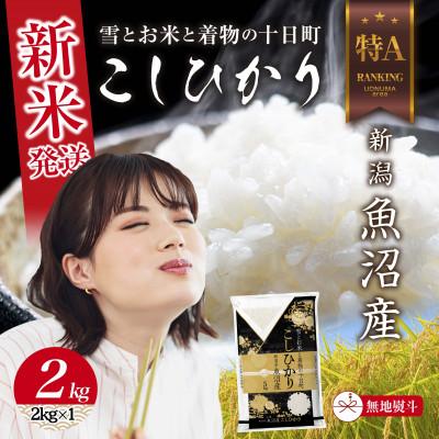 ふるさと納税 十日町市 【令和8年産 新米】 無地のし 魚沼産 コシヒカリ 2kg (お米の美味しい炊き方ガイド付き)