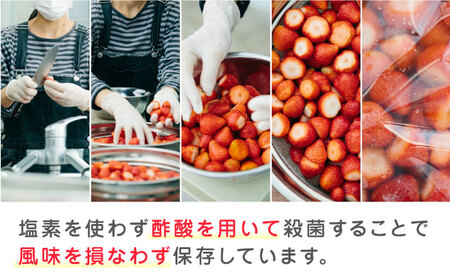 【全3回定期便】【数量限定】 熊本県産 冷凍イチゴ 計1.5kg ( 500g × 3P ) 熊本県産いちご 山都町産いちご 家庭用いちご フローズンいちご いちご国産いちご 熊本県産いちご 九州産い