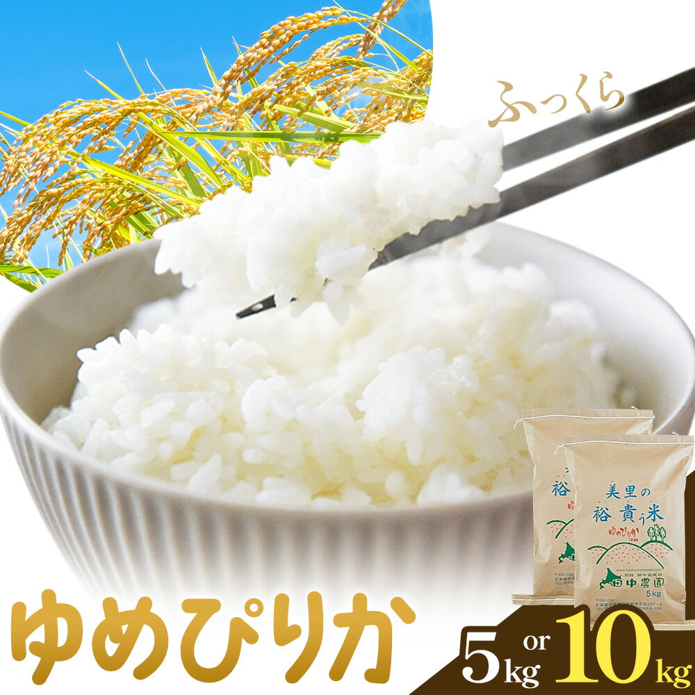【ふるさと納税】令和7年産 ゆめぴりか 選べる内容量 5kg (5kg×1袋) 10kg (5kg×2袋) 田中農園《90日以内に出荷予定(土日祝除く)》北海道 日高町 米 白米 精米 お米 北海道日高町