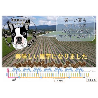 ふるさと納税 阿賀野市 阿賀野市産 さといも 「ファームホリコシ皮付き里芋」 サイズ混合 5kg |  | 02