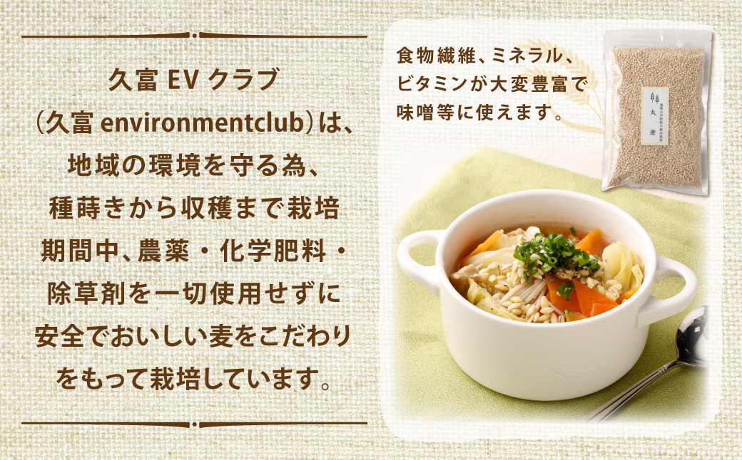丸麦 ( みそ麦 ) 1kg×3個 セット 合計3kg