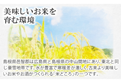 【定期便3ヶ月】令和5年産 石見地方 美郷町産 コシヒカリ 玄米 10kg【令和5年度産 定期便 3回定期 米 玄米 ブランド米 こしひかり 10kg×3回 合計30kg 2023年産】