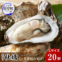 【ふるさと納税】定期便 3ヶ月 北海道 厚岸産 牡蠣 Lサイズ 20個 (各回20個×3ヶ月分,合計60個) 殻付き 生食 カキナイフ付き かき カキ　定期便・ 生牡蠣 魚介類 貝 かき