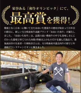 F2-01 片桐さんの「おおいた和牛」おまかせ焼肉セット（計800g）