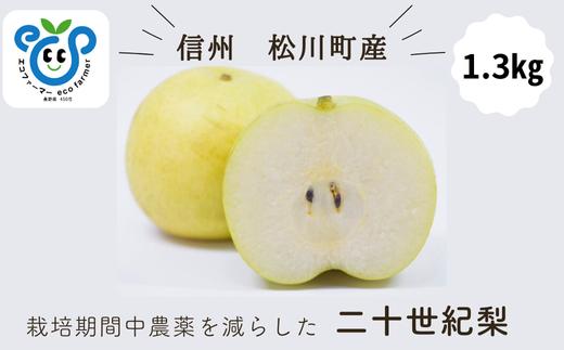 HF31-25A 【信州松川町産】 二十世紀梨 約1.3kg ／9月後半発送開始予定 // 長野県 南信州  減農薬栽培 和梨 なし ナシ 20世紀 ２０世紀 エコファーマー認証 農家支援