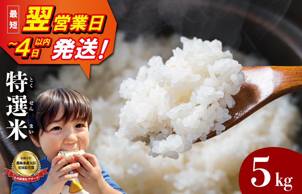 (有)松幸農産 特選米 5kg セット コシヒカリ お米 おこめ 三重県産 送料無料 5kg×1袋 小分け 冷めてもおいしい ふるさと納税 ふるさと 米 コメ こめ ギフト プレゼント 人気 お取り寄せ 三重米 新米 白米 精米 MK13