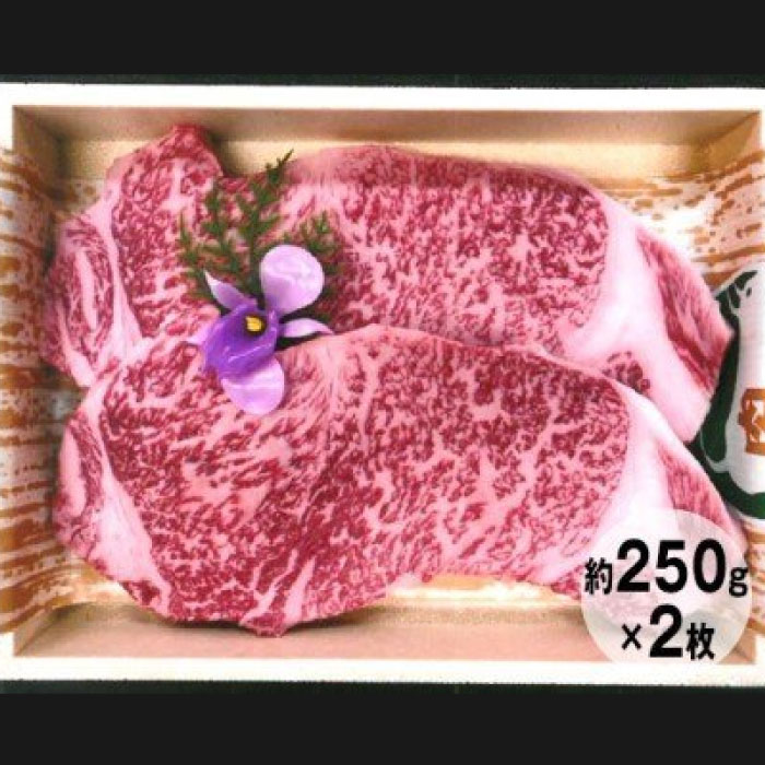 【ふるさと納税】常陸牛サーロインステーキ 茨城県共通返礼品 常陸牛 ブランド牛 牛肉 ステーキ 茨城県 高萩市