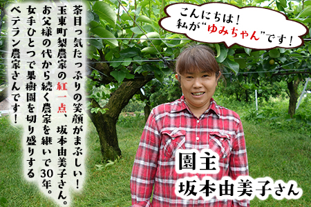 玉東梨 約5kg ゆみちゃん農園 梨