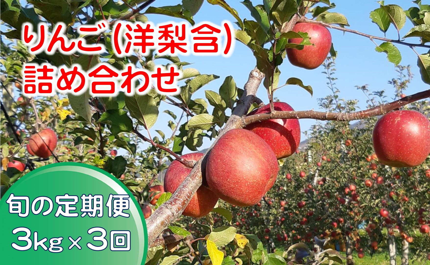 
            先行予約【定期便/3回】清水農園 当主こだわりのりんご・洋梨 詰め合わせ 約3kg×3回お届け 計9kg 【 リンゴ 林檎 フルーツ 果物 期間限定 数量限定 】RT2227
          