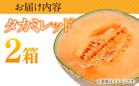 タカミメロン レッド 2箱 / メロン めろん フルーツ 果物 / 南島原市 / 南島原果物屋[SCV032]