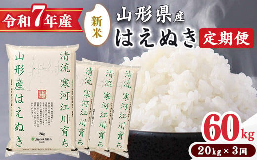 
            【令和7年産 定期便】《選べる配送時期》はえぬき計60kg！お米 定期便（20kg×3回）！清流寒河江川育ち 山形産はえぬき 2025年産　115-C-JA014-R7
          