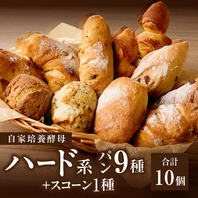 自家培養酵母で焼くハード系パン9種＋スコーン1種セット！