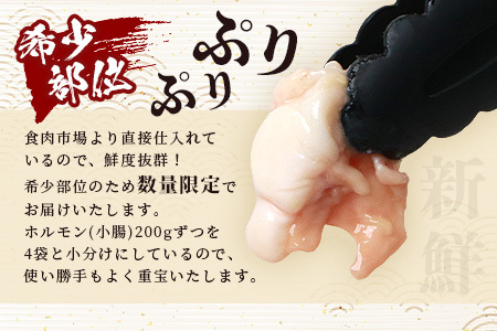 【日本三大秘境の黒毛和牛】宮崎県産 椎葉牛 ぷりぷりホルモン（小腸）【もつ鍋・焼肉用】牛モツ モツ鍋 やきにく