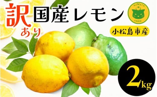 レモン 2kg 訳あり 2025年10月順次発送 国産 レモン 檸檬 れもん ワックス不使用 防腐剤不使用 柑橘 果汁 フルーツ 果実 徳島 小松島市