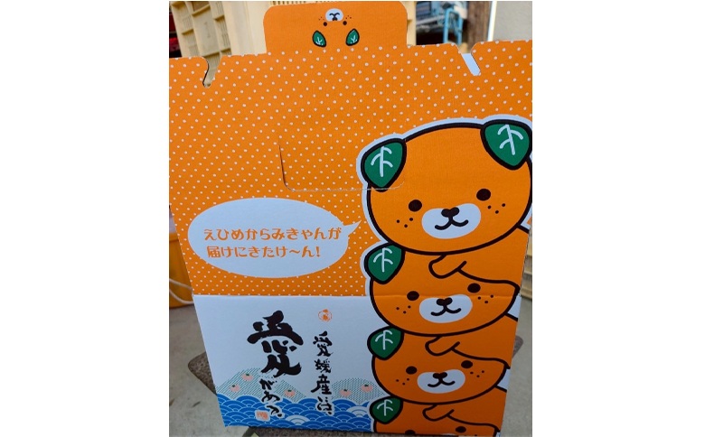 【先行予約】愛果28号 みきゃんいっぱいボックス 3kg 贈答用 サイズミックス バラ詰め 【数量限定】 みかん 柑橘 人気 愛媛 伊予市＜2025年12月から順次発送＞｜D60