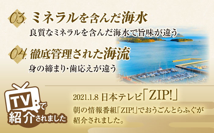 【先行予約】１月中旬発送開始 高級とらふぐをご家庭で！おうごんとらふぐ大皿刺身 合計160g（80g×2）【松永水産】 [KAB225]