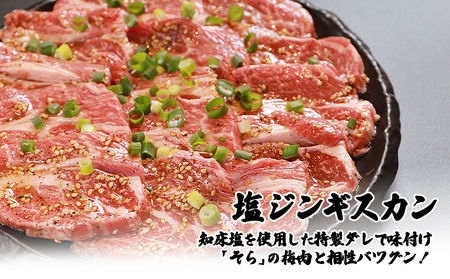 【定期便：全3回】知床ジンギスカン店「そら」ラム肩ロースジンギスカン2種セット 計600g（味付け×300g・塩×300g）【16011】