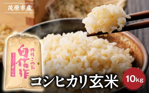 千葉県茂原市産コシヒカリ　玄米10kg【 米 玄米 新米 コメ こしひかり 千葉県 茂原市 送料無料 ふるさと納税 】　MBAE008