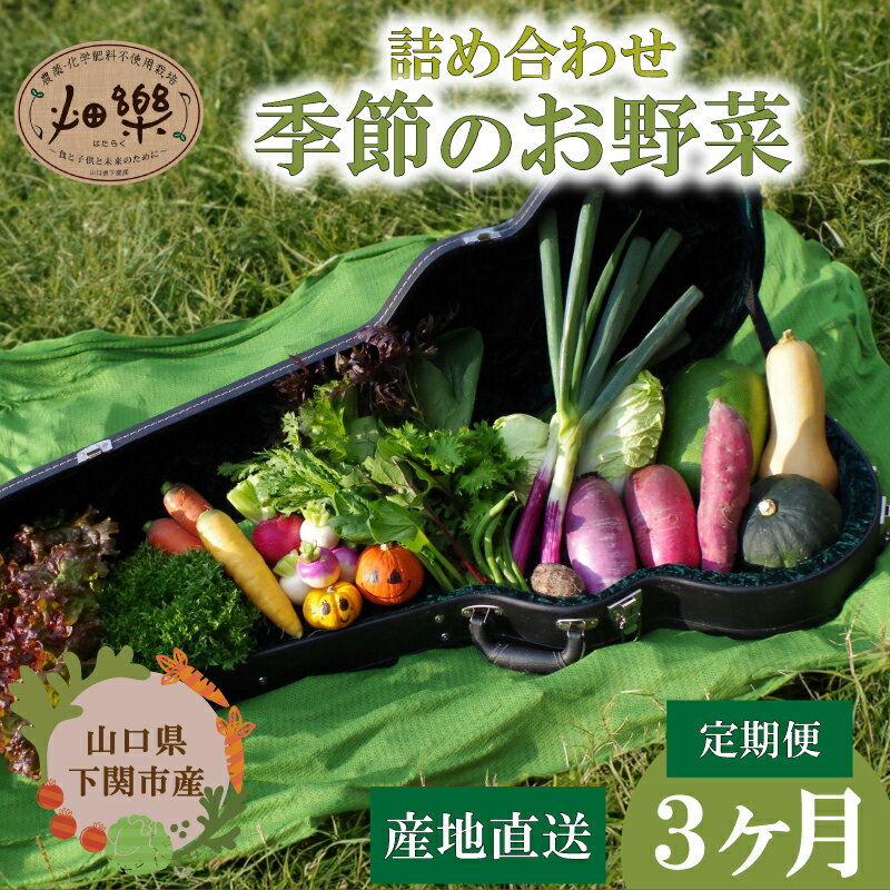 【ふるさと納税】 旬 の 野菜 詰め合わせ セット 3ヶ月 定期便 7 ~ 9 品 【2025年4月以降順次発送】 お楽しみ 産地直送 農家直送 季節 春 夏 秋 冬 露地野菜 やさい サラダ 農薬 化学肥料 不使用 下関 山口