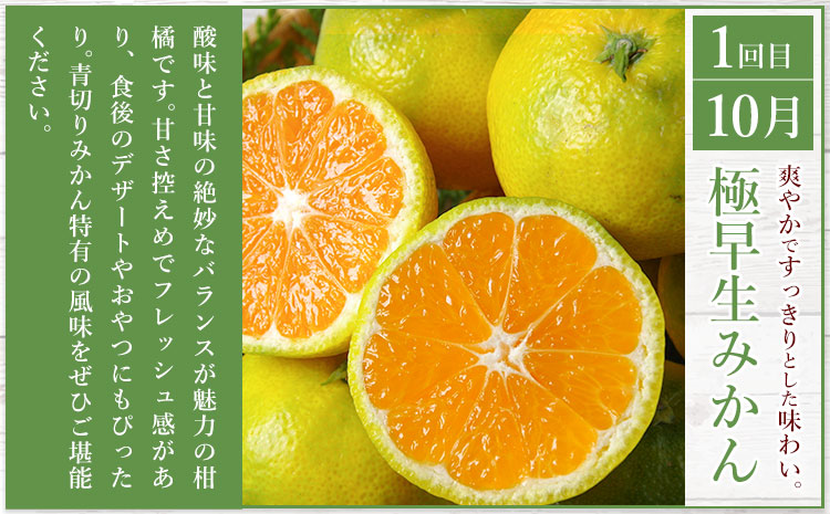 秀品 みかん 3ヶ月定期便 【ミニ：計8kg】 日本フルーツ株式会社《2026年10月上旬-12月末頃出荷》熊本県 長洲町 極早生みかん 温州みかん 葉付き 不知火 果物 フルーツ スイーツ デザート