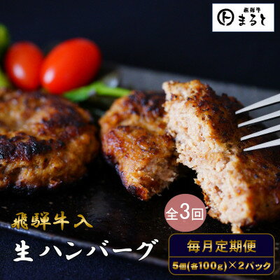 【ふるさと納税】【毎月定期便】【3か月定期便】飛騨牛入り特製生ハンバーグ　100g×10個全3回【配送不可地域：離島】【4087879】