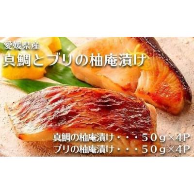 ふるさと納税 松山市 真鯛とブリの柚庵漬け 各4パック
