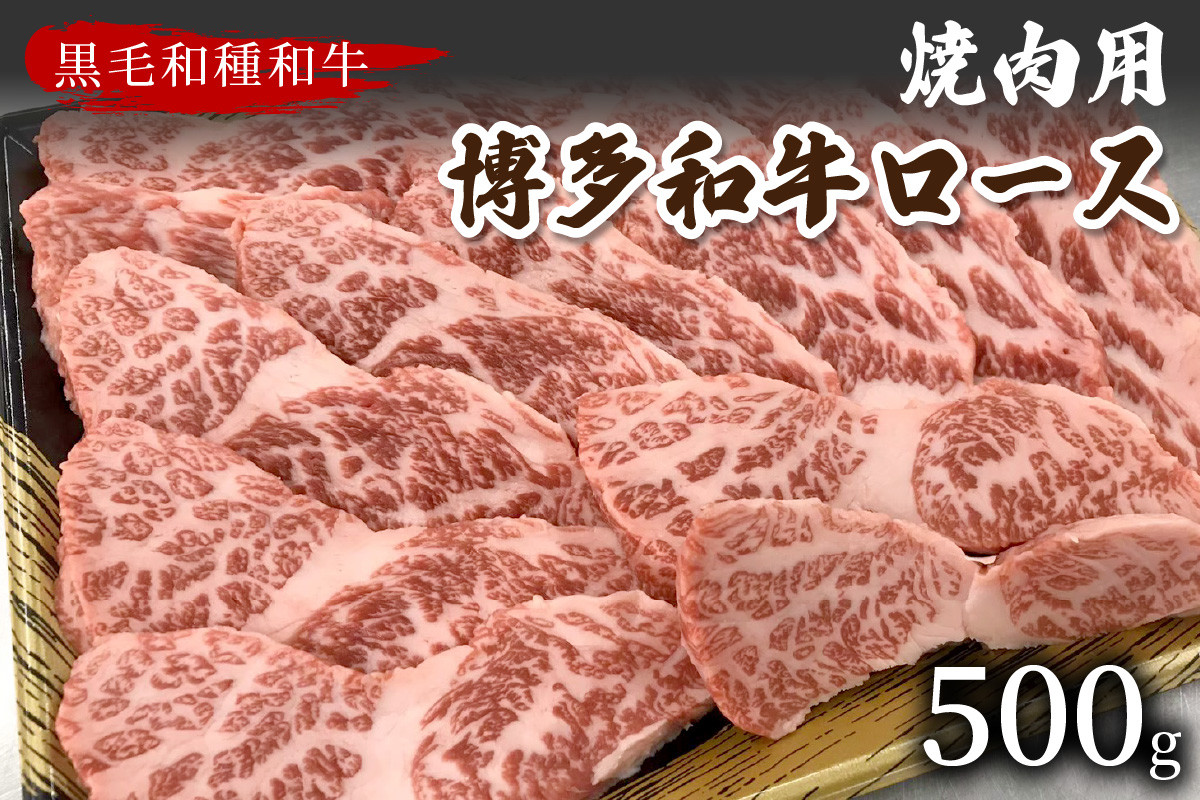 
【数量限定】博多和牛ロース焼肉用(500g)【009-0011】
