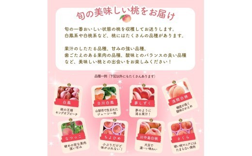 ★選び抜かれた桃をお届け★※画像はイメージです。★大玉～中玉を厳選して直送します★※玉数指定はできません。