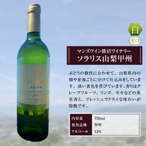 ソラリス 山梨甲州（白ワイン・辛口）B15-603
