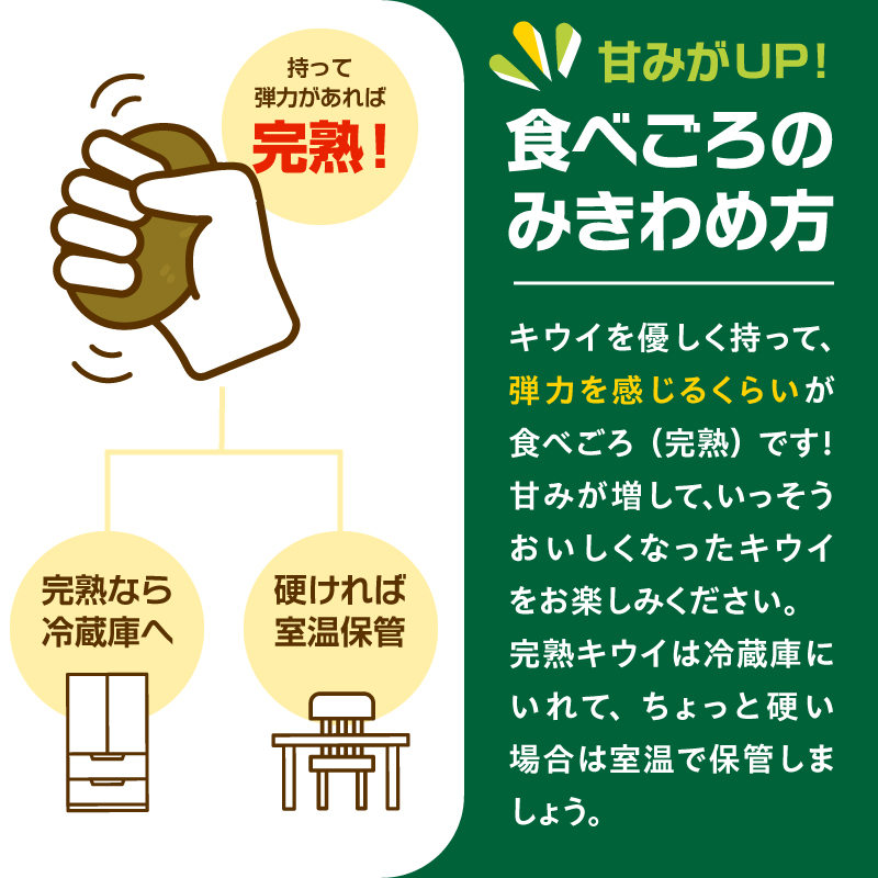 【先行予約】2026年度発送 三重県玉城町産 ゼスプリ サンゴールドキウイ 約1kg