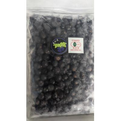 ふるさと納税 帯広市 【2026年産】有機JAS認証北海道帯広産 冷凍カシス 1.5kg(500g×3袋)